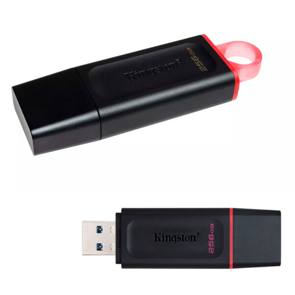 MEMORIA USB KINGSTON DT EXODIA_USB DTX 256GB